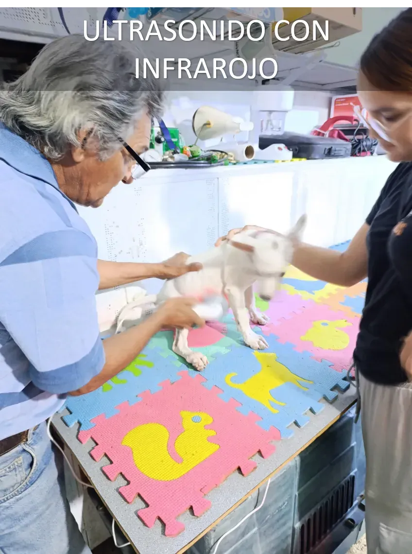 Curas, tratamientos y emergencias